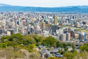 ホームページをリニューアルしました。